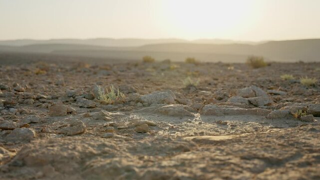 Hot desert terrain with tumbleweed rolling across frame in outdoor natural view. Dry day in barren emptiness wind blowing dead bush or thorn twig in sunset or sunrise light in vast open arid area