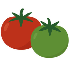 vector illustration of a tomato