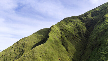 Summer mountain landscape with green grass and panoramic views of hills, trees, and sky