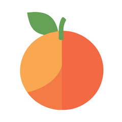 A simple vector graphic of an orange half