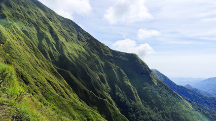 Summer mountain landscape with green grass and panoramic views of hills, trees, and sky