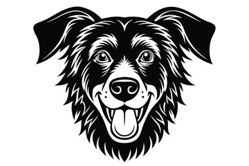Smiling border collie face shows tongue in a monochrome portrayal on white