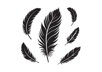 Bird Feather Silhouette Vector Set