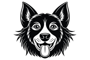 Black and white Border Collie smiles happily with tongue sticking out cheerfully