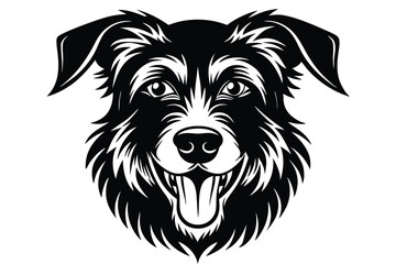 Black and white shows a focused Border Collie dog head portrait