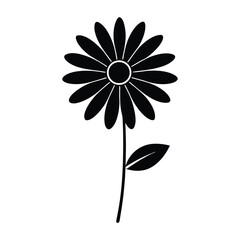 flower on white background