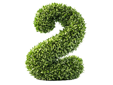 Lush Green Boxwood Number Two: Nature's Vibrant Numeral