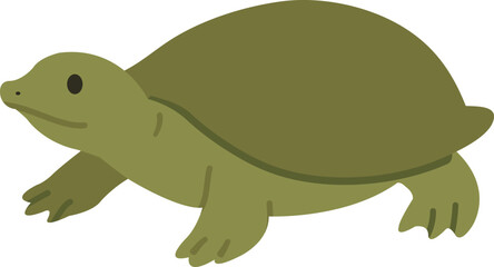 귀여운 자라의 일러스트