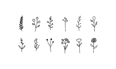 Tiny Wildflower Sketch. Minimal and thin hand-drawn wildflowers with light stems and natural outlines, perfect for delicate designs and organic compositions.