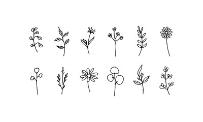 Delicate Floral Outline. Thin line floral elements in a hand-drawn style, ideal for subtle botanical patterns or minimalistic nature-themed designs.
