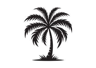 Palm Tree of Silhouette black vector Illustration