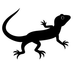 Fototapeta premium vector illustration of a lizard
