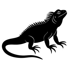 Fototapeta premium silhouette of a lizard on white