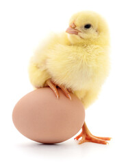 Chicken and egg.