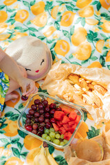 picnic in nature, macro photo, close-up photo of food