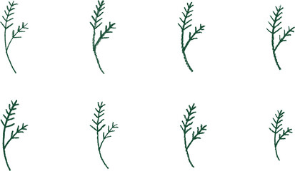 色鉛筆で描いた植物