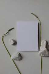 Empty card with white decorated stones and sunlight shadows on neutral background. Aesthetic composition for minimalistic template in flat lay style.