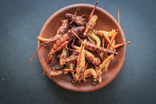 fried grasshopper or belalang goreng is traditional food from southeast asia, served with sambal, onion, garlic, chili on wood background