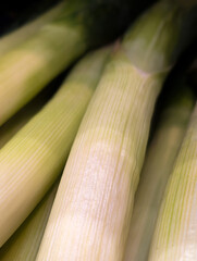 Vertical photo of clean, fresh leeks