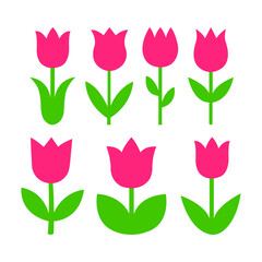 Obraz premium Tulip Flower Vector Set - Natural Floral Illustration