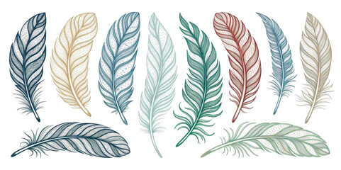 Fototapeta premium Colorful Assortment of Delicate Feathers Isolated on a Transparent Background