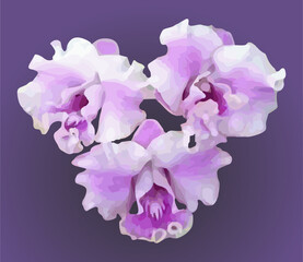 vector image of a violet purple orchid flower on a isolated