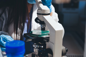 Scientist pipetting medical samples into microplate in laboratory