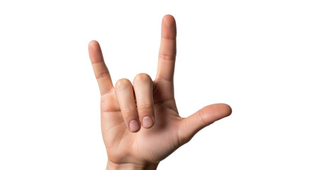 Isolated Hand Sign