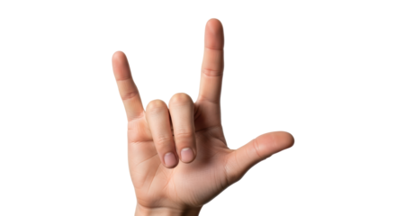 Isolated Hand Sign