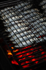 Grilled Sardines are a traditional dish during the Summer Saints Popular Festivals, "São João" and "Santo António", in Braga, Porto, and Lisbon, Portugal.