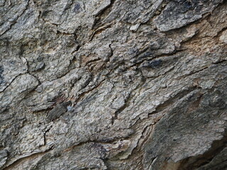 material, nature, design, background, organic, minimal, refined, warm, decorative, natural,board, wall, wooden, structure, abstract, hardwood, smooth, panel, oak, dark, interior, patternplank, vintage