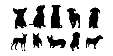 Collection cute wild animal isolated vector silhouettes