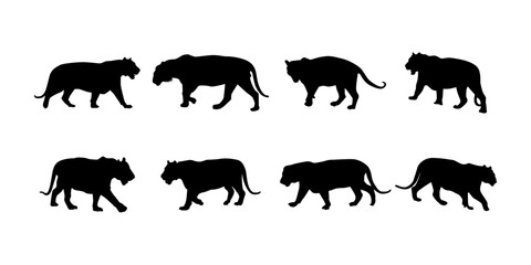 Collection cute wild animal isolated vector silhouettes