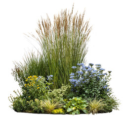 Decorative arrangement of various ornamental grasses and flowering plants featuring tall reed-like...