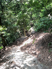 森の中のトレイル