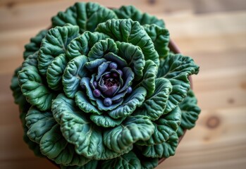 Obraz premium kale is botanically related to collards and mustard greens through the brassicaceae family, which influences their similar health benefits and culinary versatility.
