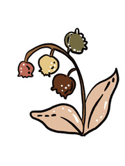 vector illustration of a heart shaped chocolate