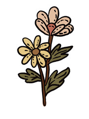 vector illustration of a lily