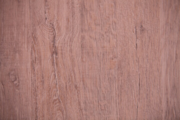 Fototapeta premium texture of wood background close up