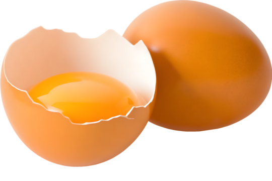  broken egg isolated on white background PNG ,ai generated