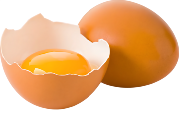  broken egg isolated on white background PNG ,ai generated