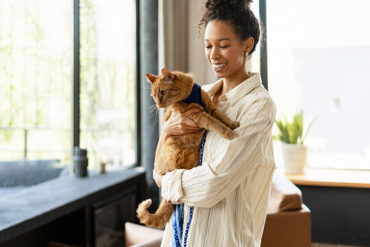 Veterinarian holding ginger cat wearing harness and leash