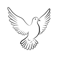 Line art of a flying dove with wide open wings. Minimalist black and white illustration symbolizing peace, freedom, and spirituality in elegant contour style