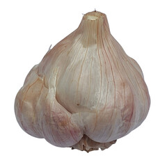 A whole bulb of garlic with its papery outer skin, showing individual cloves and natural texture.