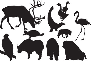 Animal Silhouettes, Vector Illustration Isolated on White Background