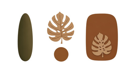 Isolated Tropical Leaves Shapes Artistic Arrangement
