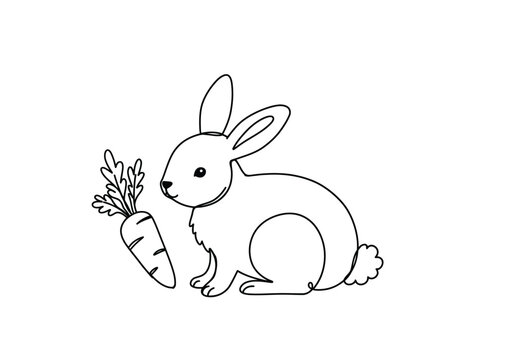 Rabbit and carrot drawing. It is a black and white outline image of a rabbit with a carrot, showing the bunny happily sitting next to its favorite vegetable. Vector sketch line art draw.