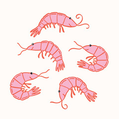 Set of hand drawn cute shrimps. Vector illustration on isolated background. Cute stylized illustration with decorative elements.
