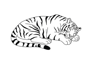 Naklejka premium Sleeping tiger drawing. It is a black and white outline image of a tiger peacefully sleeping or resting, showcasing its relaxed form with stripes. Vector sketch line art draw.