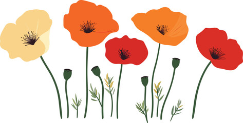 Fototapeta premium Colorful Poppy Field Illustration with Red Orange and Yellow Flowers